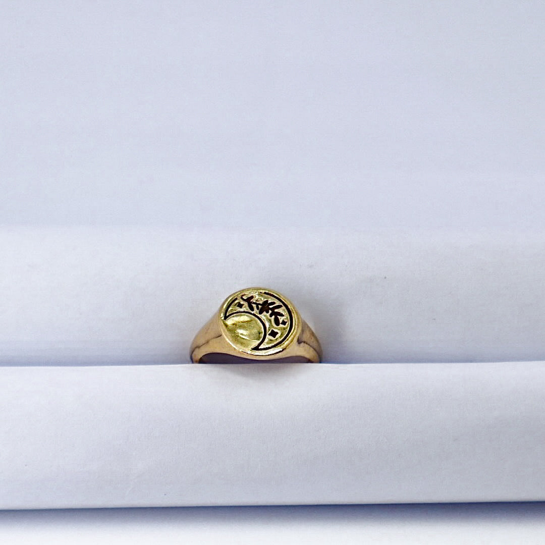 Oval signet Gold Plated Solid Sterling Silver Ring