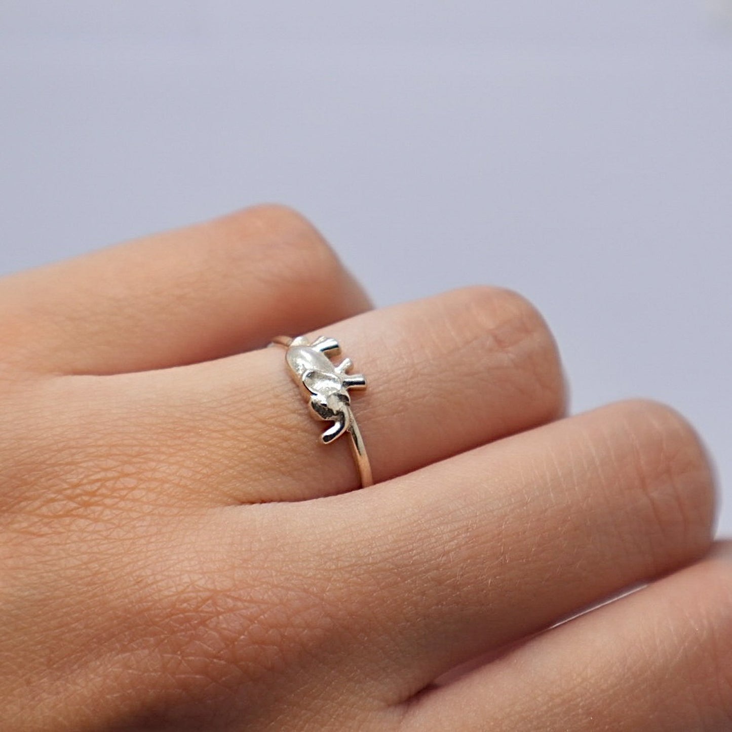 Sterling Silver Ring