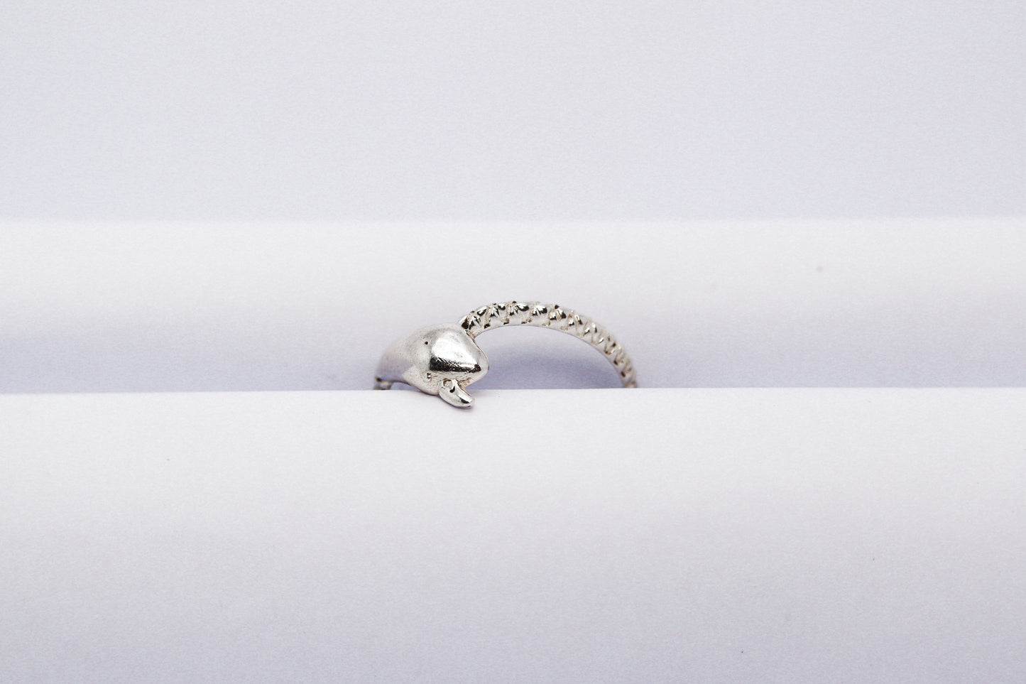 Sterling Silver Ring