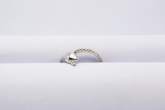 Sterling Silver Ring